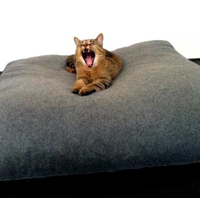 Katzenkissen für große Katzen Divan UNO