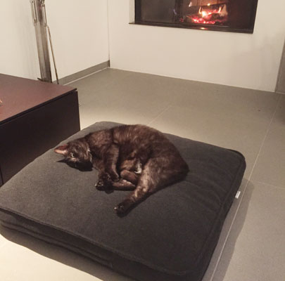 Hochwertiges Katzenkissen Lounge UNI