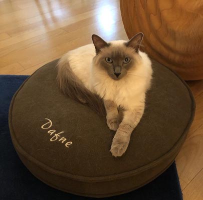 Hochwertiges Katzenkissen Lounge UNI