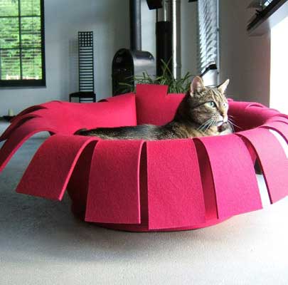 Fritz from Niedernhausen/Germany