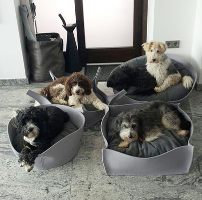 CREDO Filz Hundekorb rund