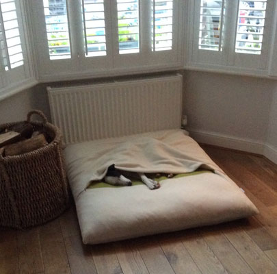 Hundeschlafsack Divan DUE