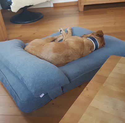 Lounge UNI Hundekissen rund - quadratisch - rechteckig