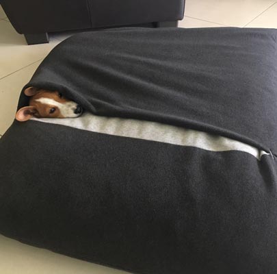 Hundeschlafsack Divan DUE