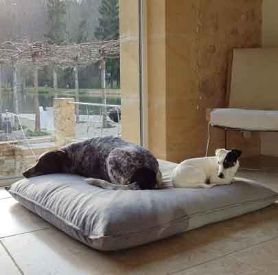 Orthopädisches Hundekissen Divan UNO