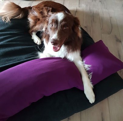Hundeschlafsack Divan DUE