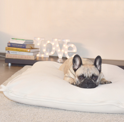 Orthopädisches Hundekissen Divan UNO