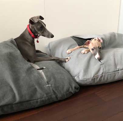 Hundeschlafsack Divan DUE