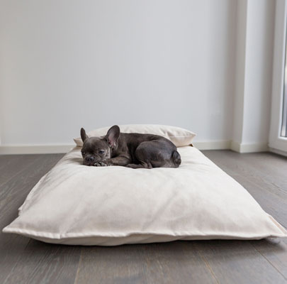 Orthopädisches Hundekissen Divan UNO