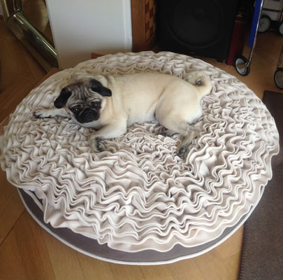 Luxus Hundekissen Lounge ROSE