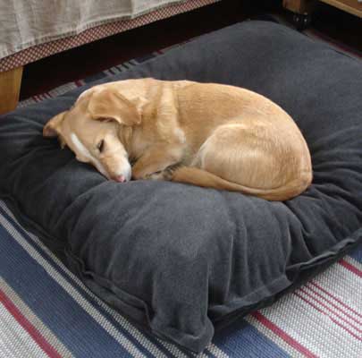 Orthopädisches Hundekissen Divan UNO