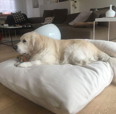 Hundeschlafsack Divan DUE