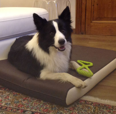 Hundematratze Kunstleder PETER