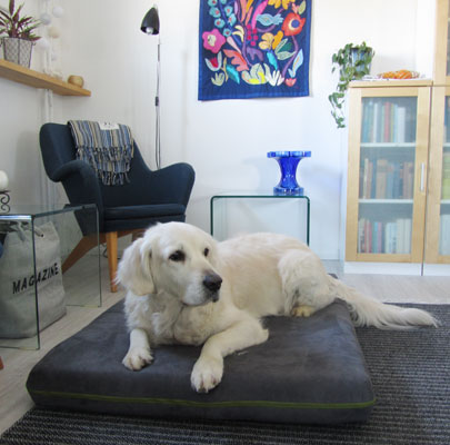 Viskoelastische, dicke Hundematte MARY