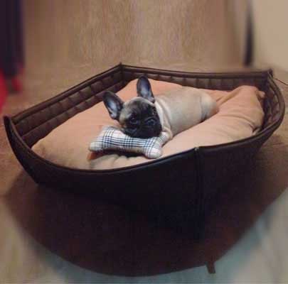 Bowl Hundekorb für kleine Hunde