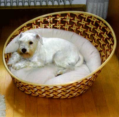 Lara from Tuttlingen/Germany