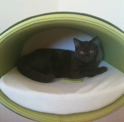 Kratzbaum RONDO Stand Filz