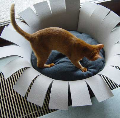 Kishewa from Hamburg/Germany