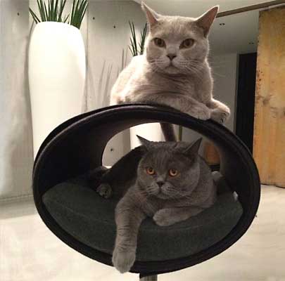 Kratzbaum RONDO Stand Filz