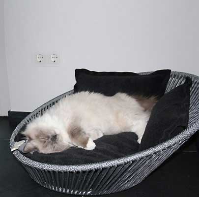 Design Katzenkorb SIRO Twist