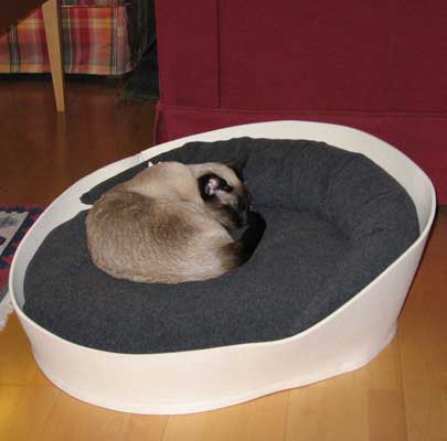 Katzenmöbel ARENA Filz