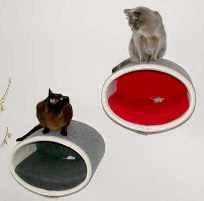 Katzen Kletterwand RONDO Wall Filz