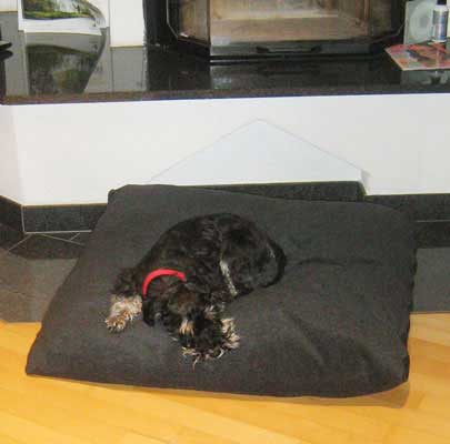 Orthopädisches Hundekissen Divan UNO