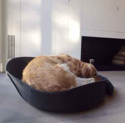 Kleiner Hundekorb ARENA Filz