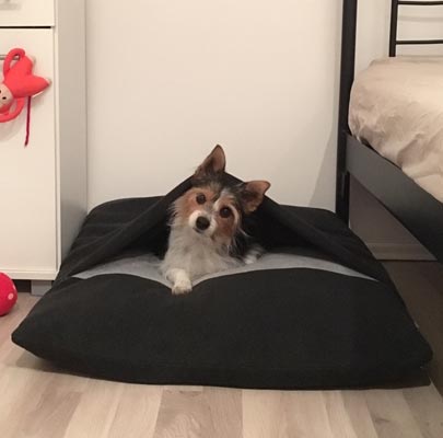 Hundeschlafsack Divan DUE