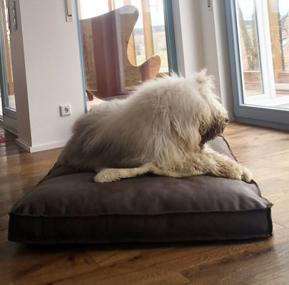 Leder Hundekissen Lounge Buffalo