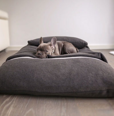 Hundeschlafsack Divan DUE