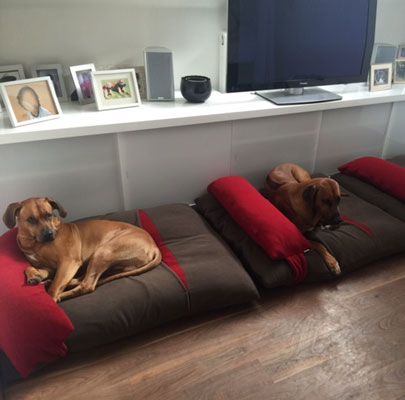 Hundeschlafsack Divan DUE