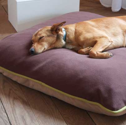 Orthopädisches Hundekissen Divan UNO