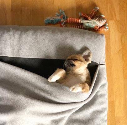 Hundeschlafsack Divan DUE