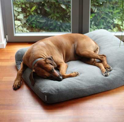 Lounge UNI Hundekissen rund - quadratisch - rechteckig
