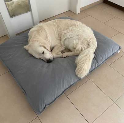 Orthopädisches Hundekissen Divan UNO
