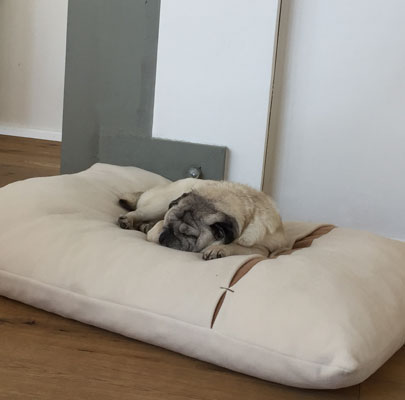 Hundeschlafsack Divan DUE