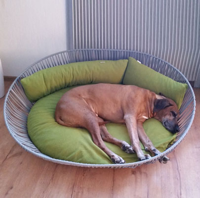 Siro Twist ausgefallener Hundekorb