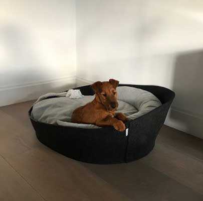 Kleiner Hundekorb ARENA Filz