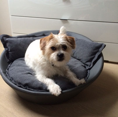 Mila Hundebett Kunstleder hoher Rand