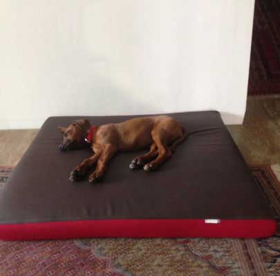 Hundematratze Kunstleder PETER