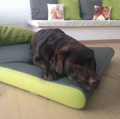 Hundematratze Kunstleder PETER