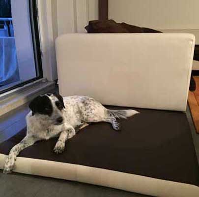 Hundematratze Kunstleder PETER