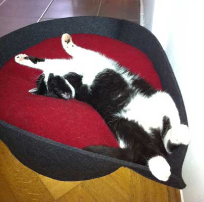 Katzenkörbchen Filz NOOK