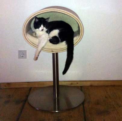 Kratzbaum RONDO Stand Filz