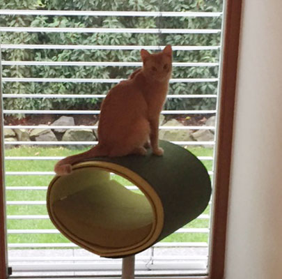 Kratzbaum RONDO Stand Filz