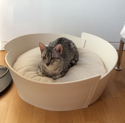Katzenkörbchen Filz LIDO