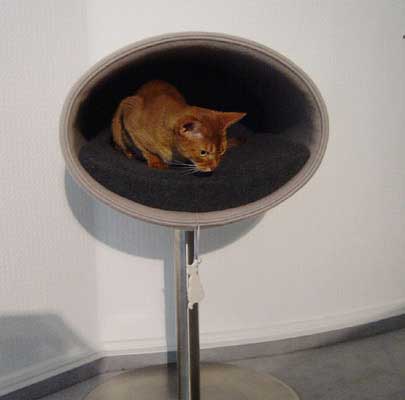 Kratzbaum RONDO Stand Filz