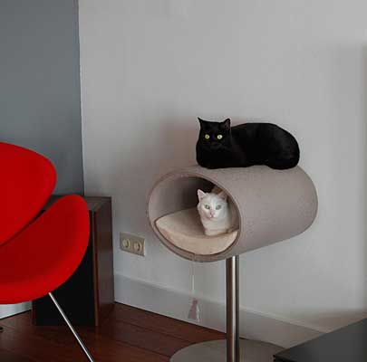 Kratzbaum RONDO Stand Filz