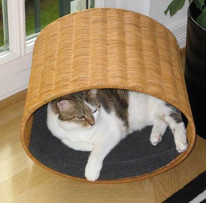 Katzenbett Wandmontage RONDO Wall Rattan